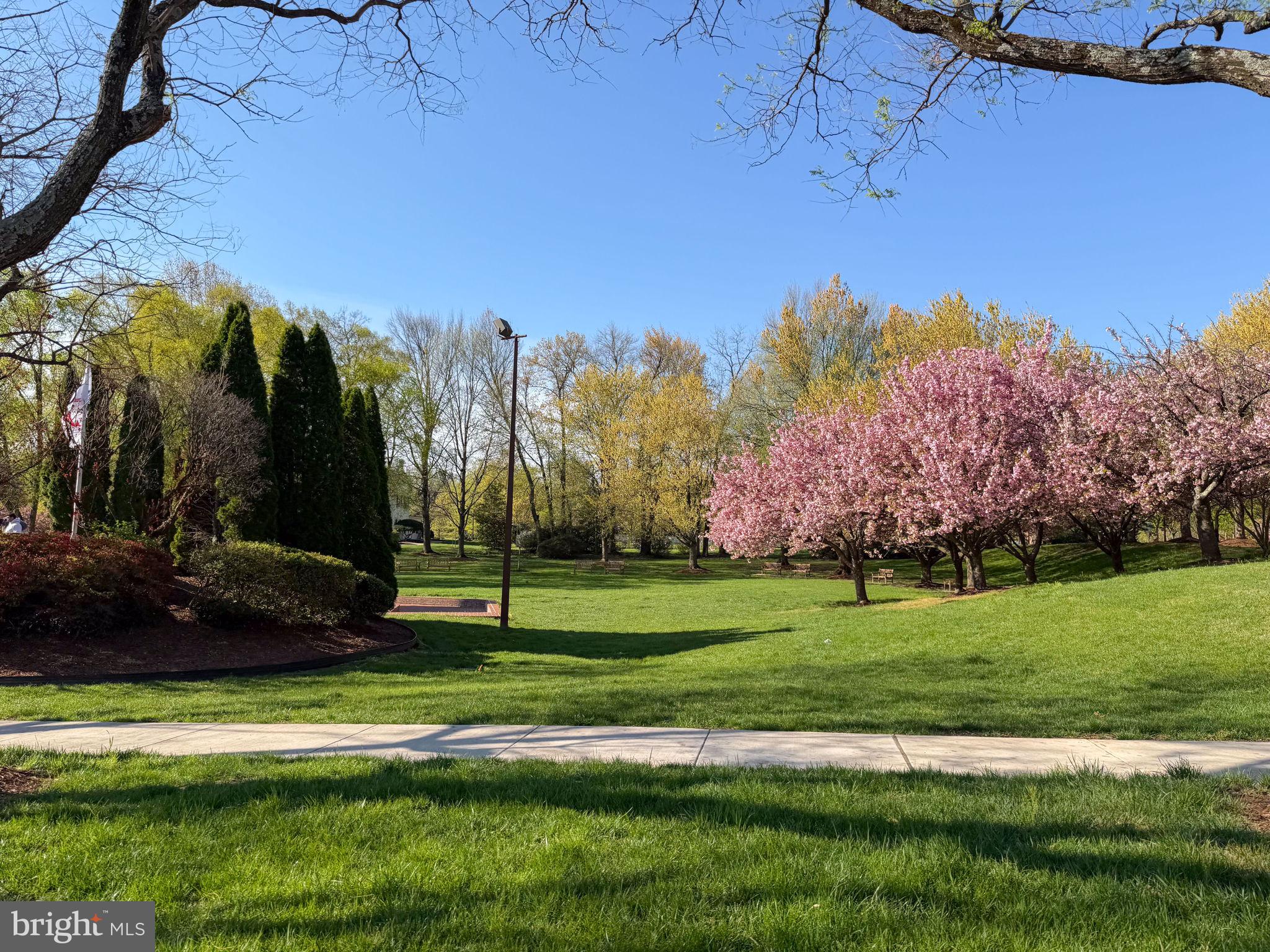 10424 BRECKINRIDGE LANE