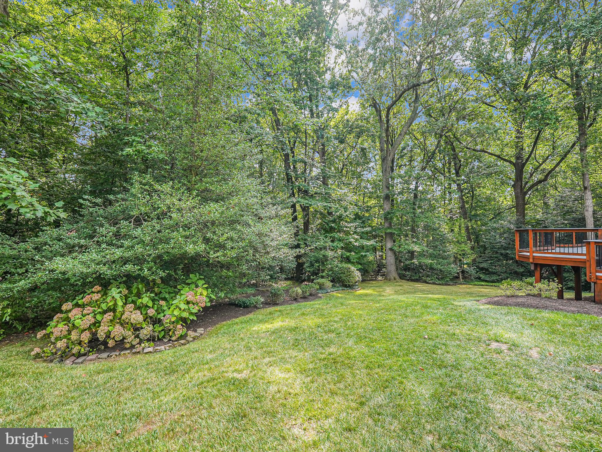 11615 Deer Forest Rd