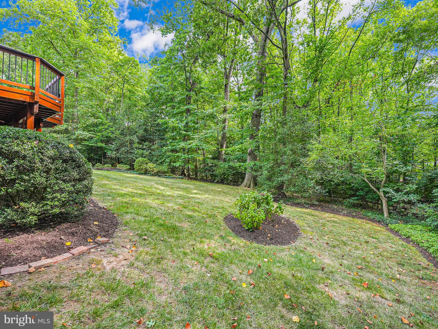 11615 Deer Forest Rd