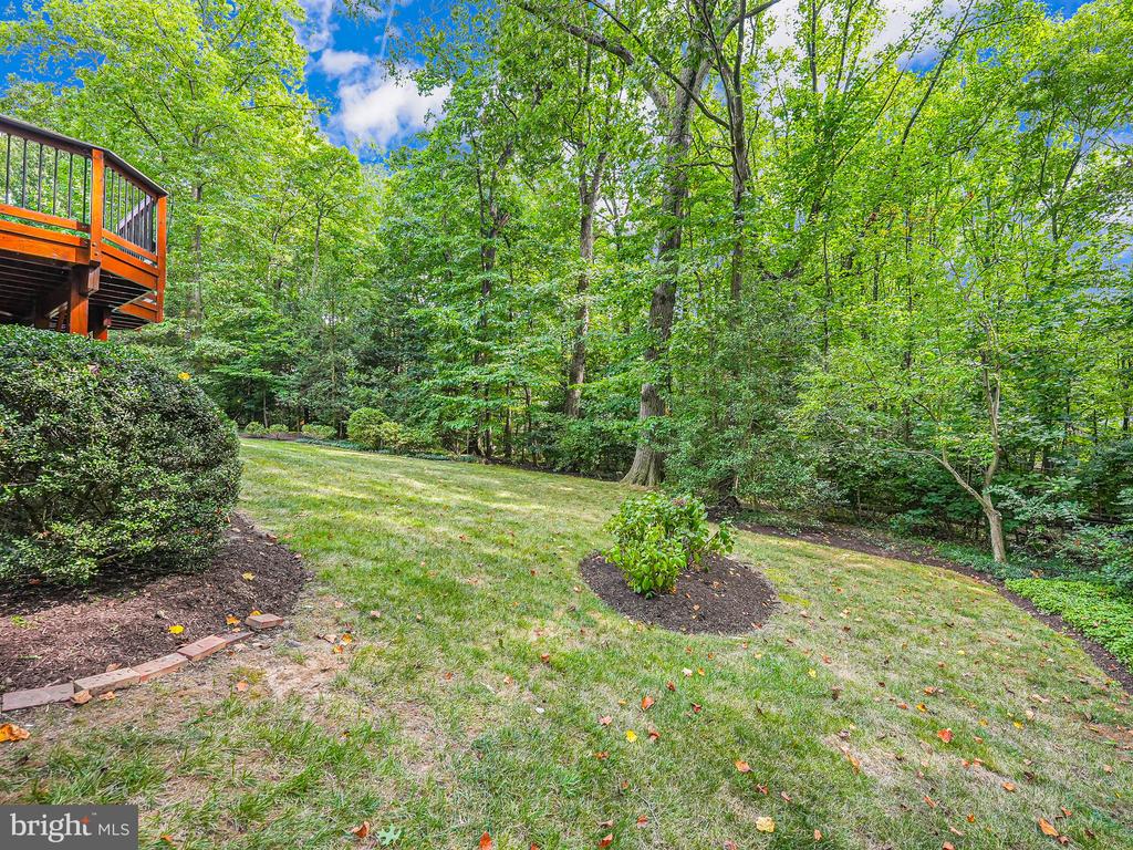 11615 Deer Forest Rd