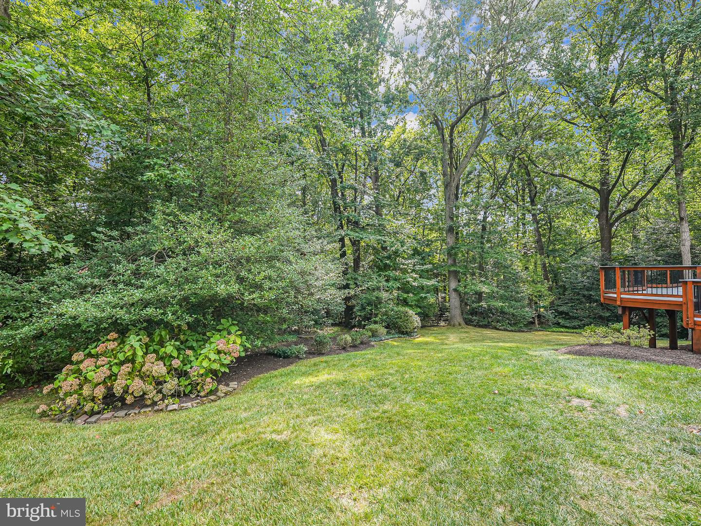 11615 Deer Forest Rd