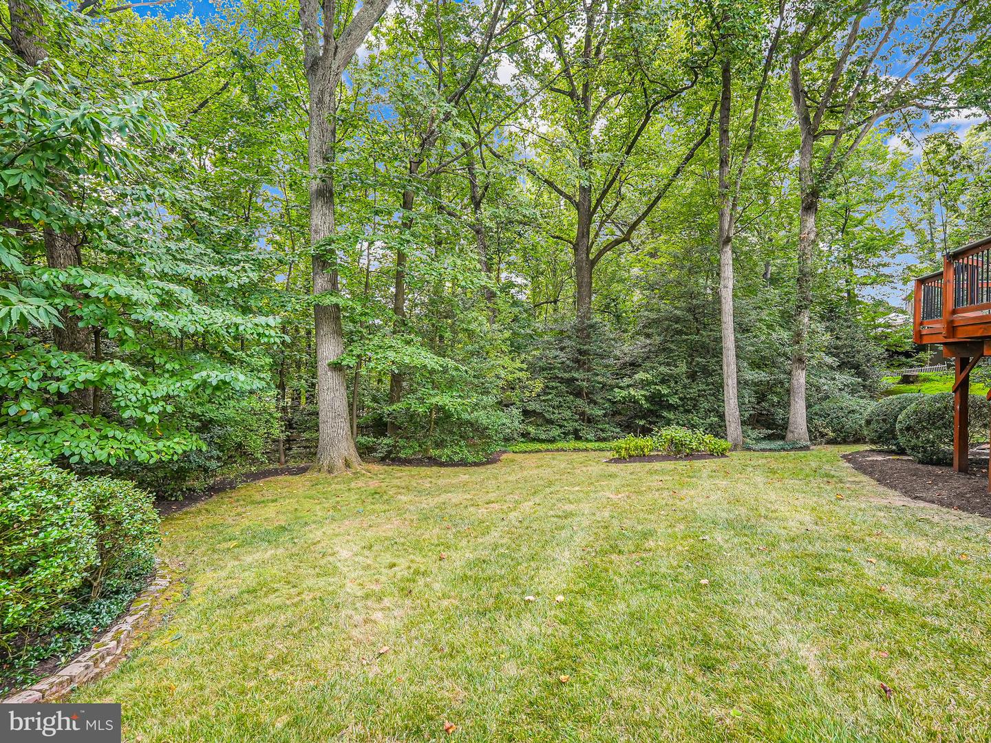 11615 Deer Forest Rd