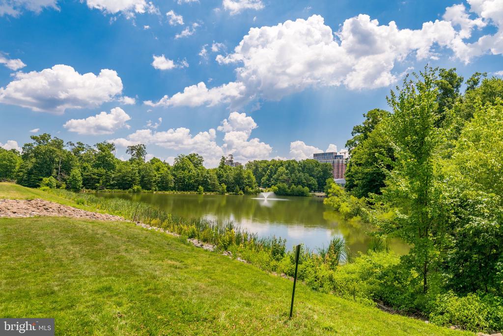 1701 LAKE SHORE CREST DR #24