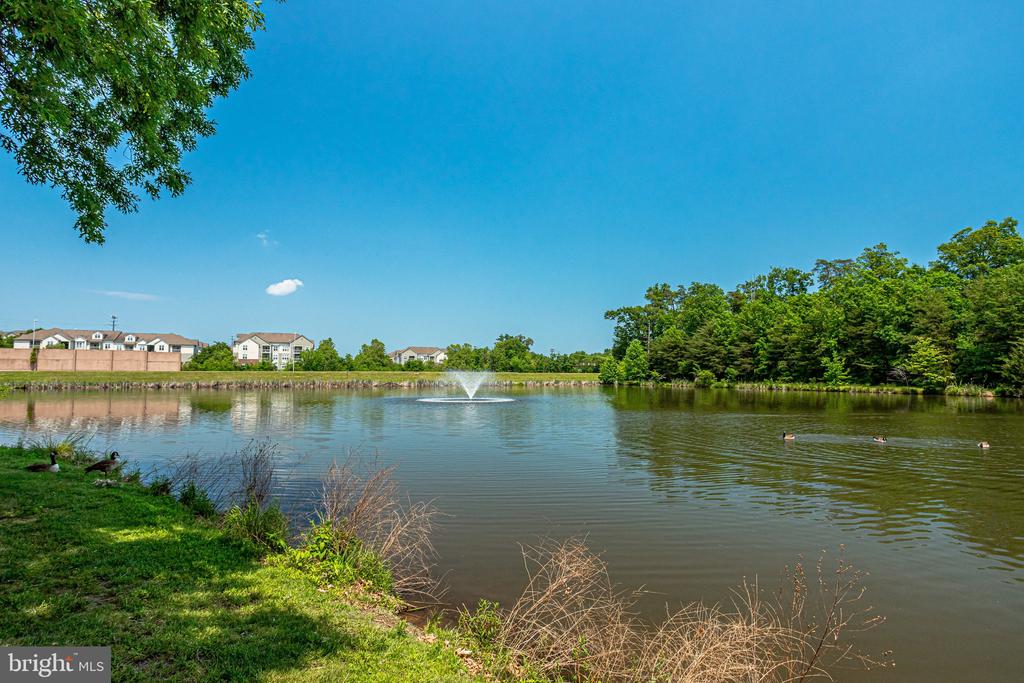 1701 LAKE SHORE CREST DR #24