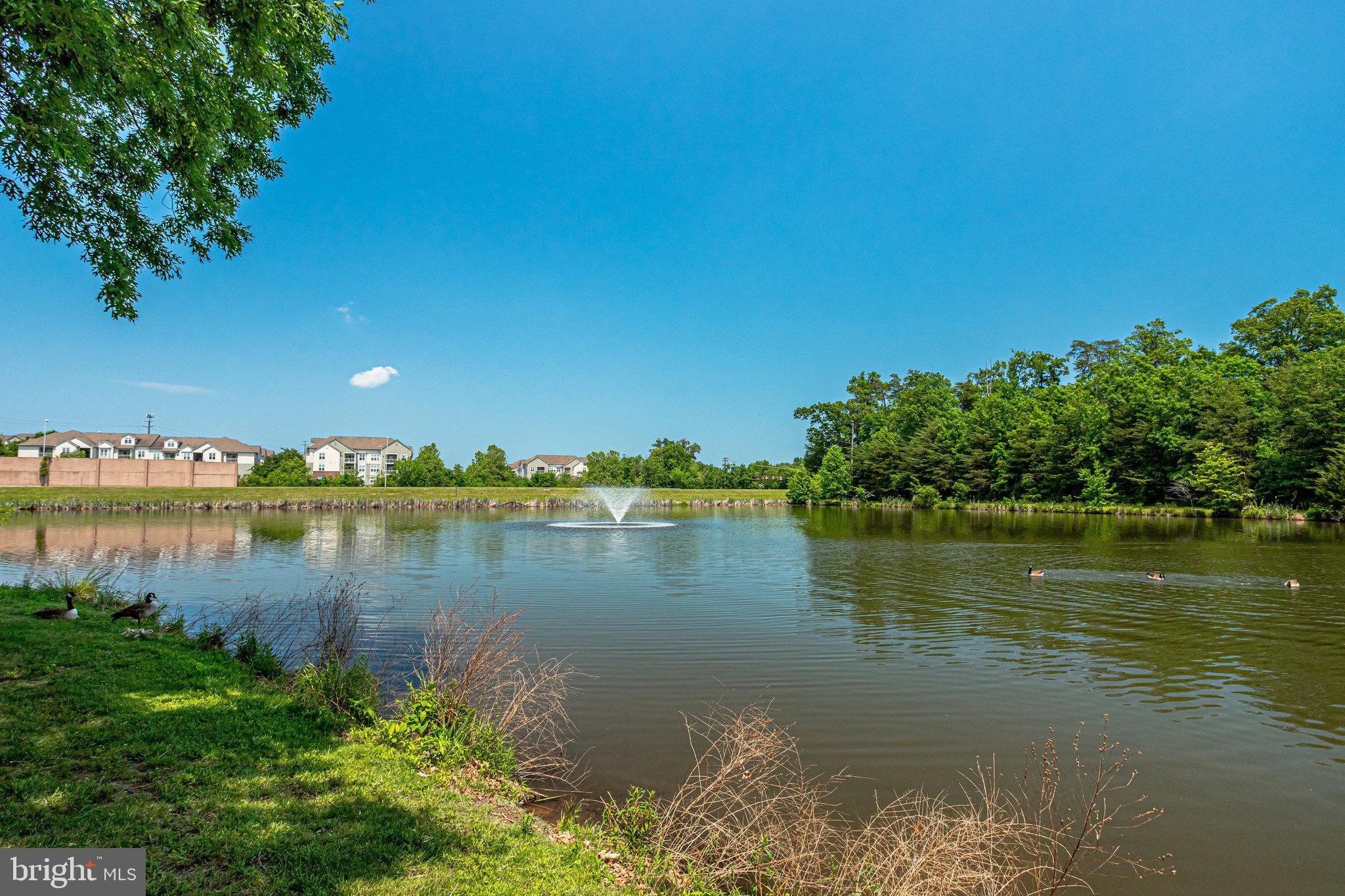 1701 LAKE SHORE CREST DR #24