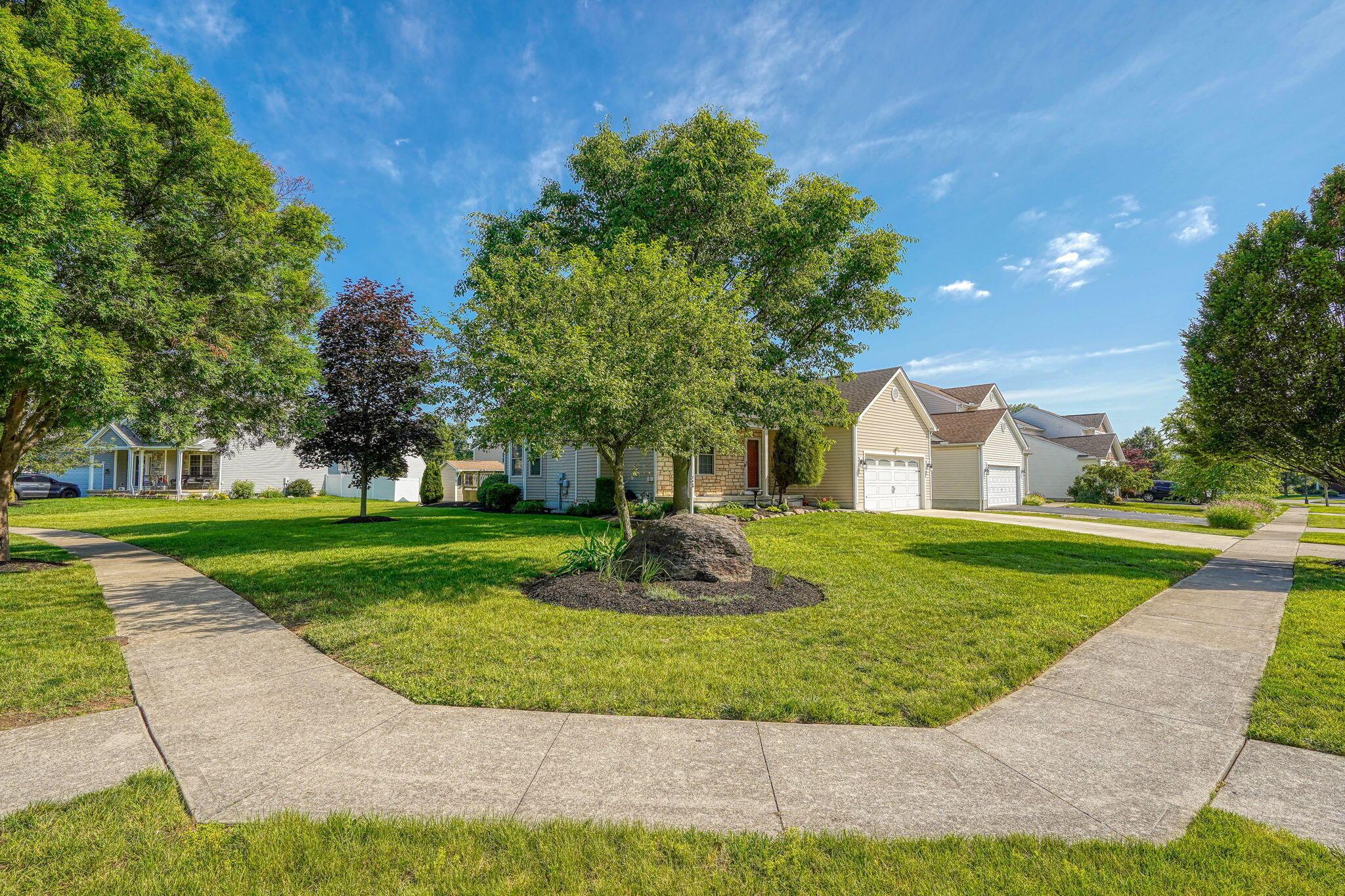 3155 Weeping Spruce Drive