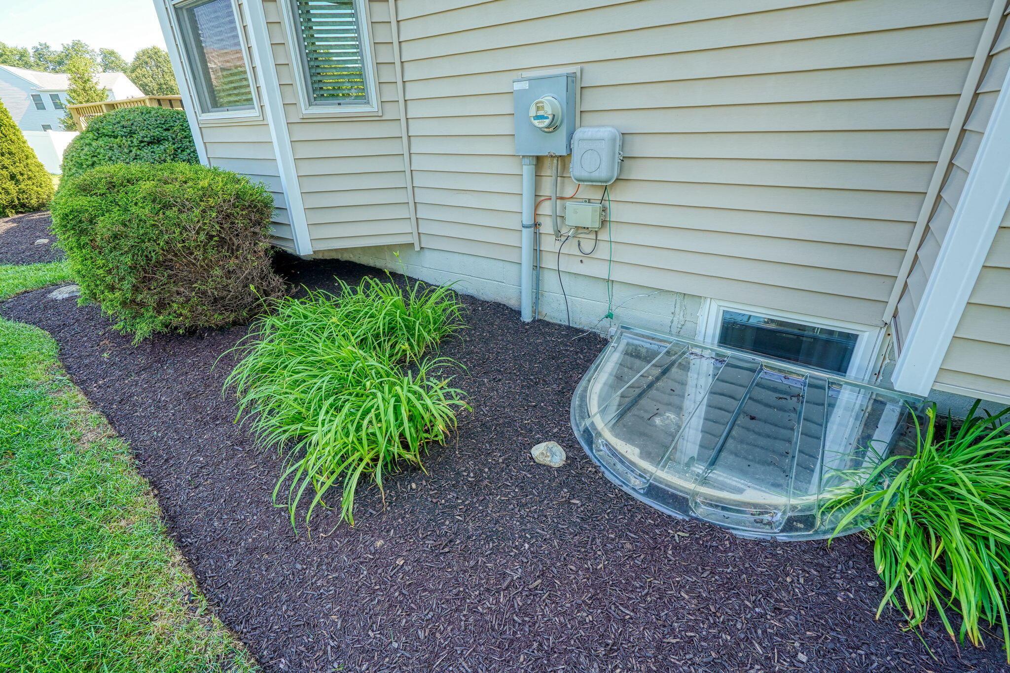 3155 Weeping Spruce Drive