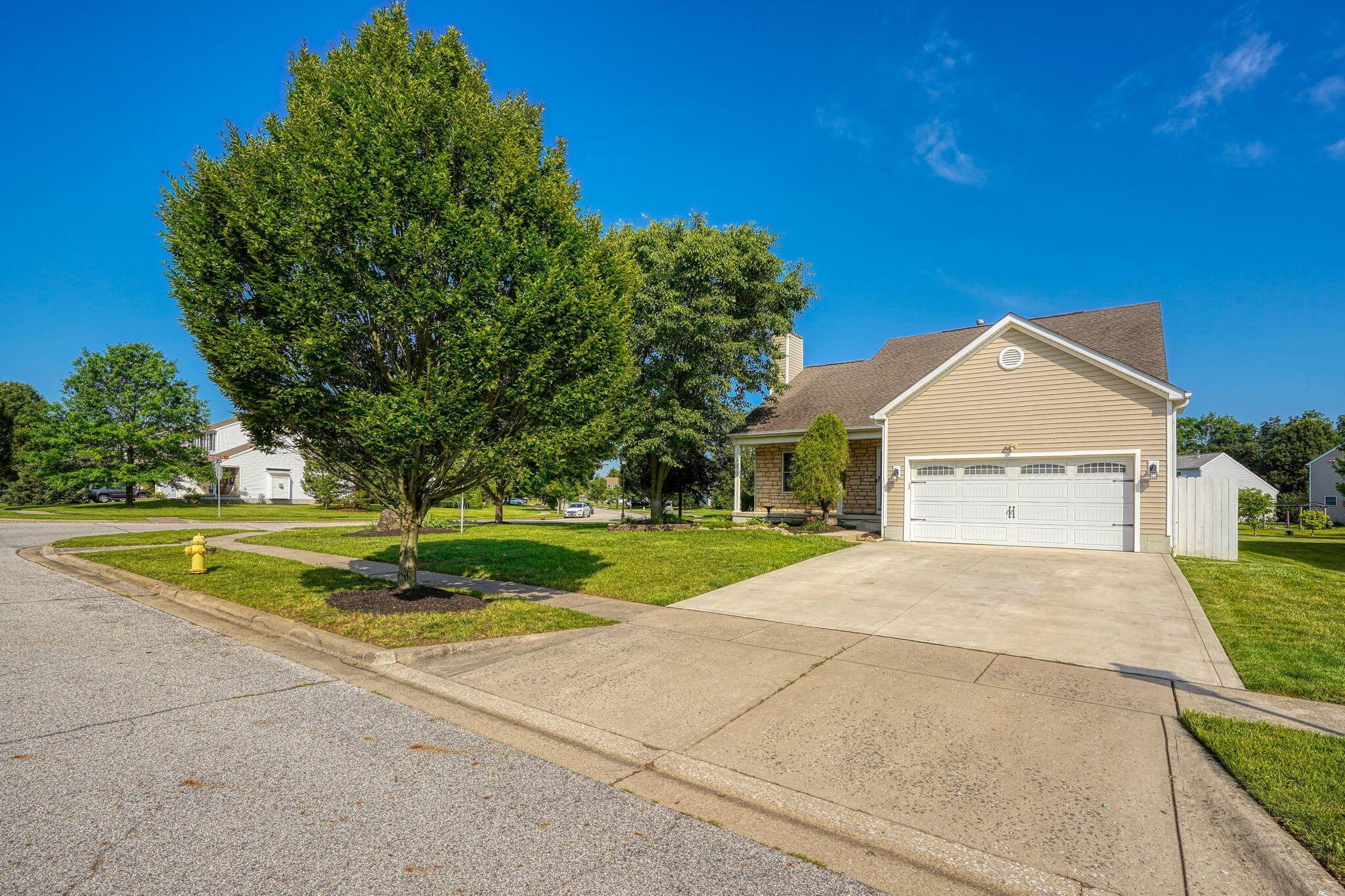 3155 Weeping Spruce Drive