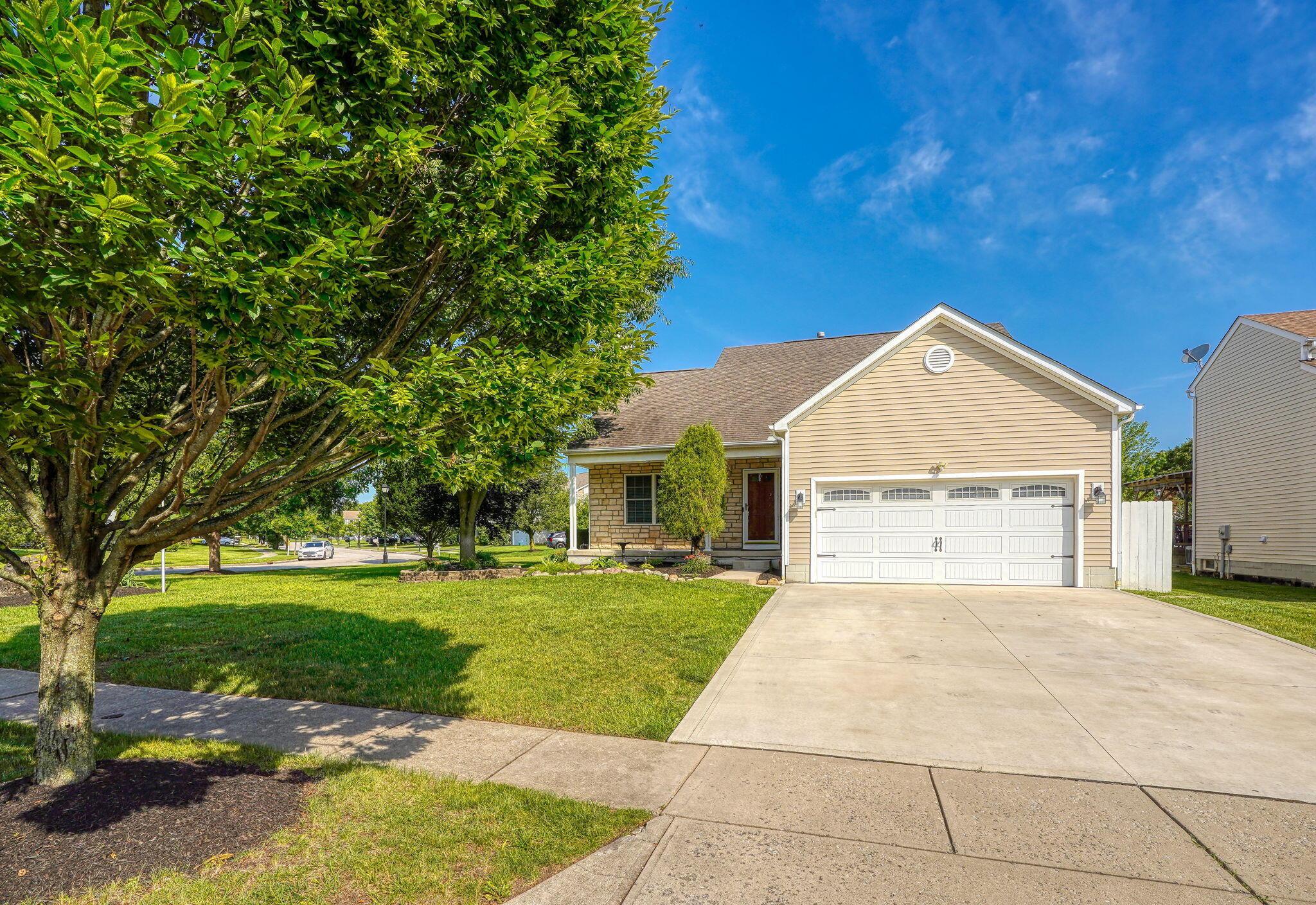 3155 Weeping Spruce Drive
