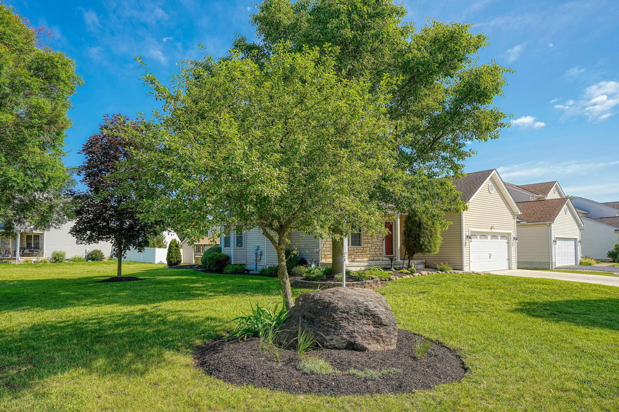 3155 Weeping Spruce Drive
