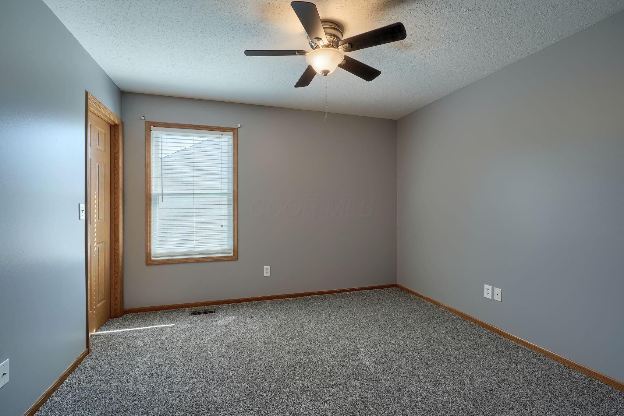 3155 Weeping Spruce Drive