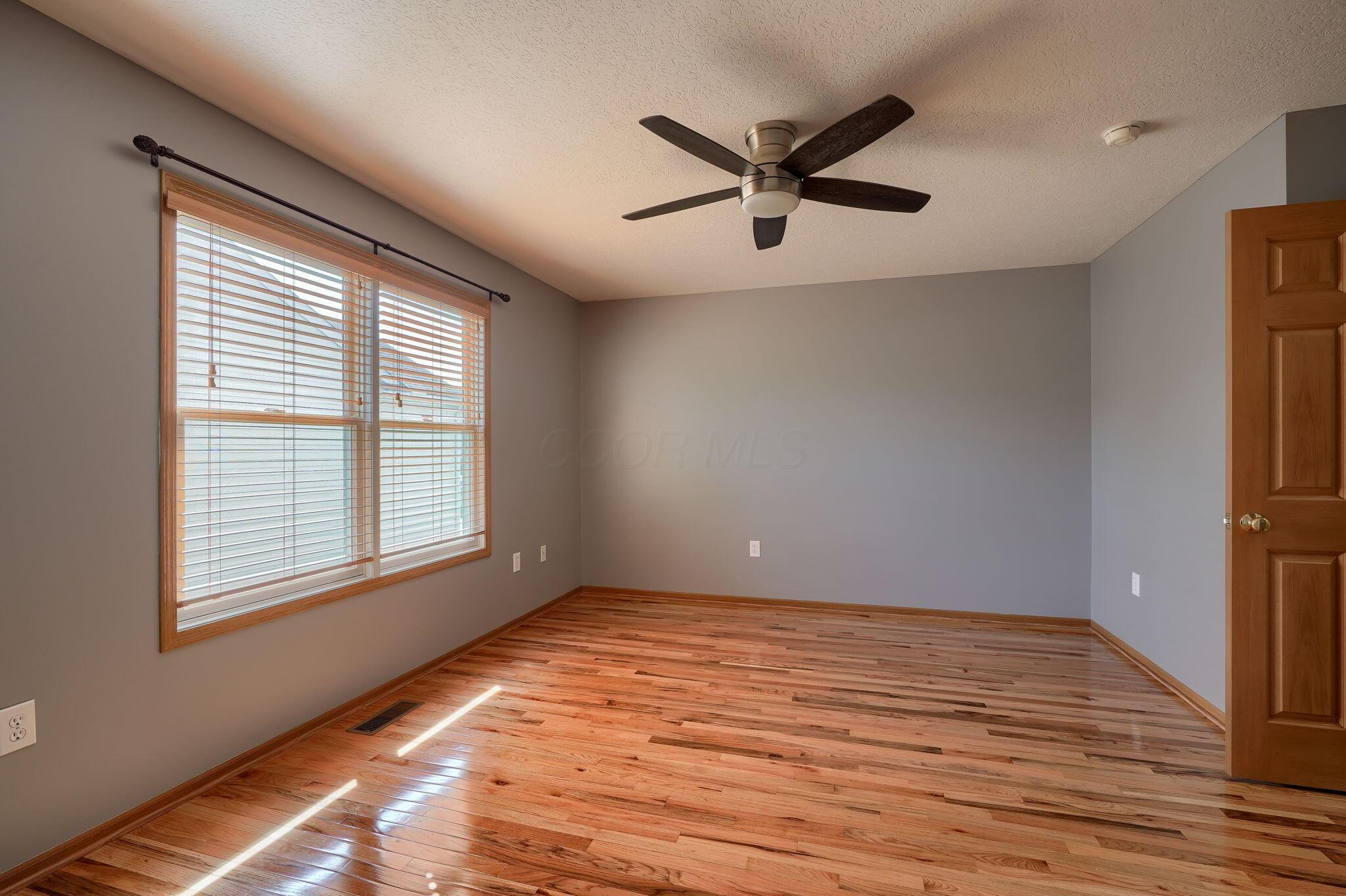3155 Weeping Spruce Drive