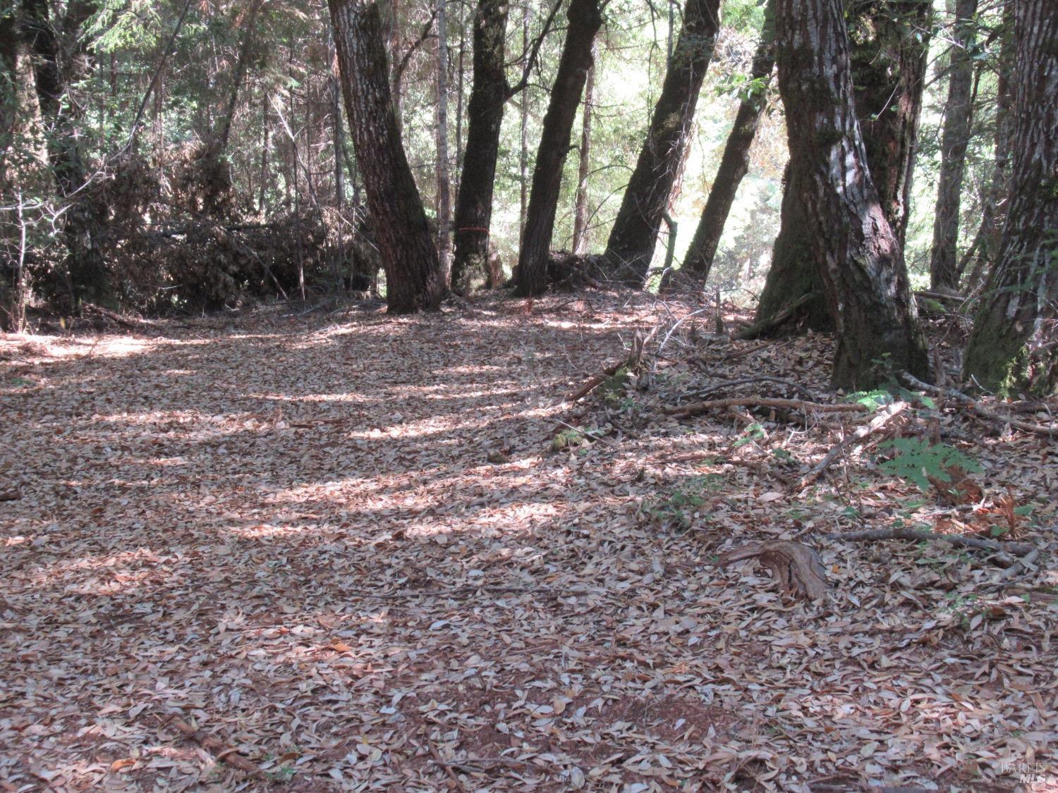 1450 W Hwy 20 Highway