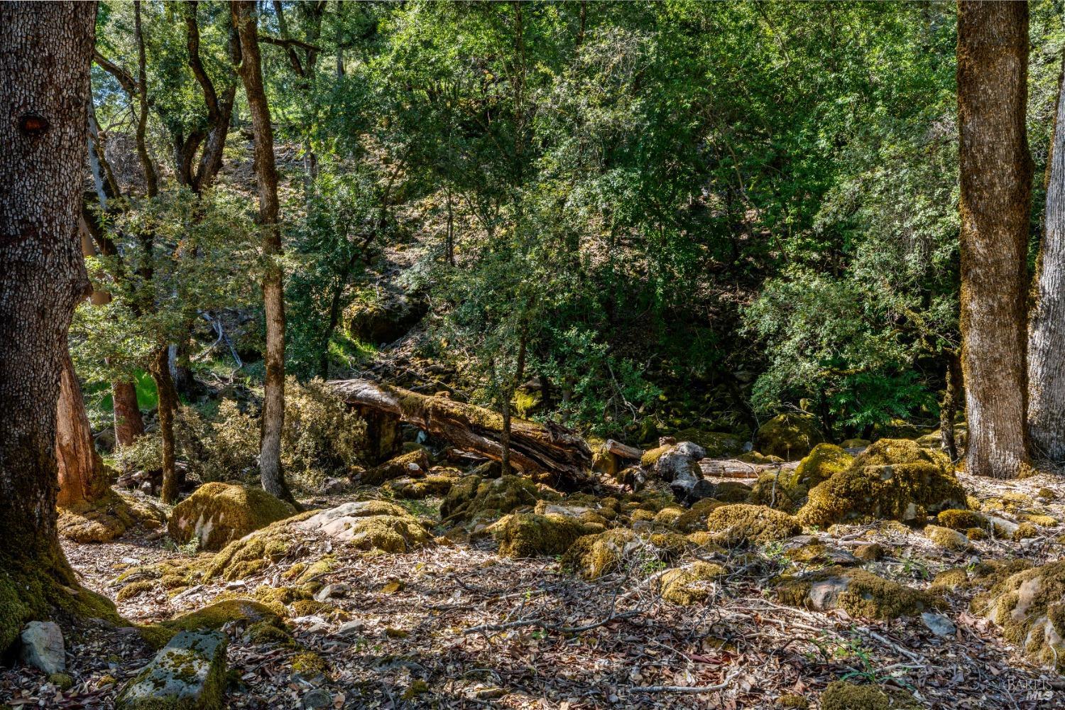 3400 Mcnab Ranch Road