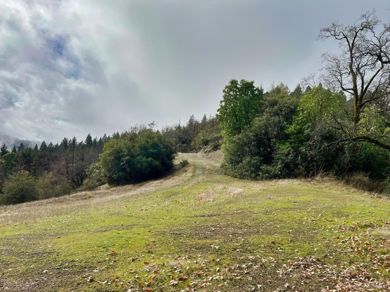 7150 Hearst Willits Road