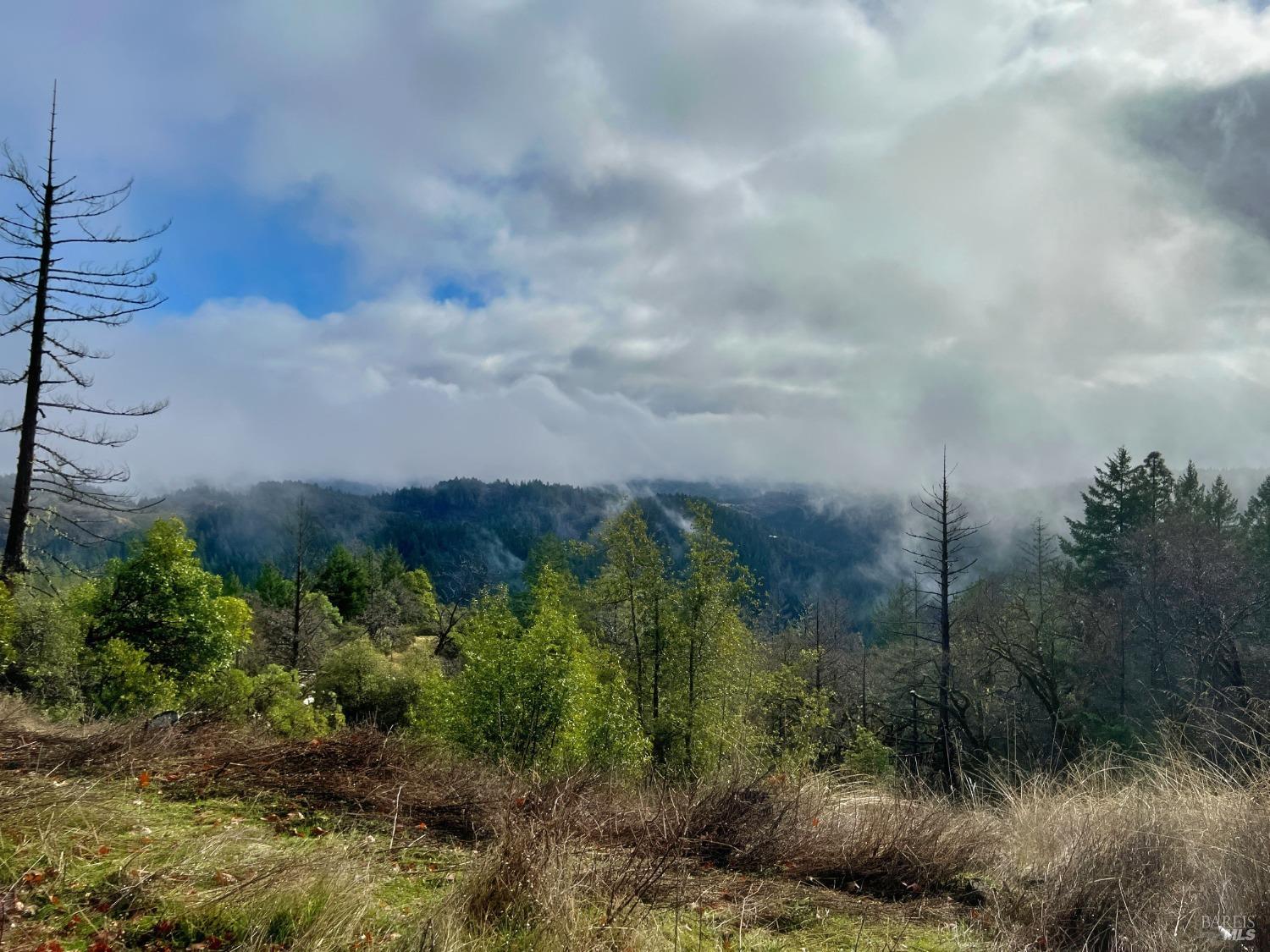 7150 Hearst Willits Road