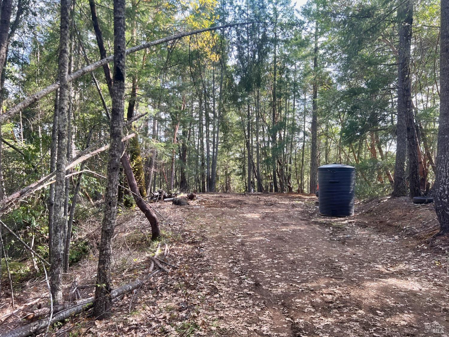 7150 Hearst Willits Road