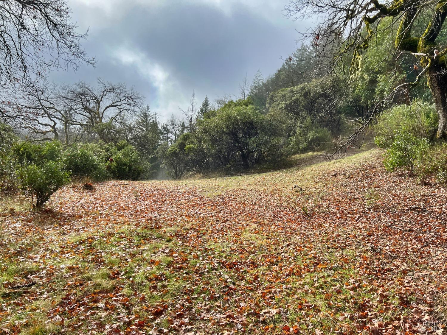 7150 Hearst Willits Road