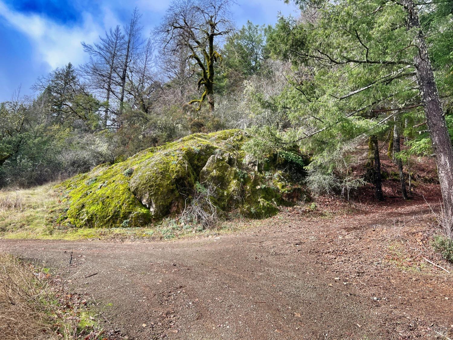 7150 Hearst Willits Road