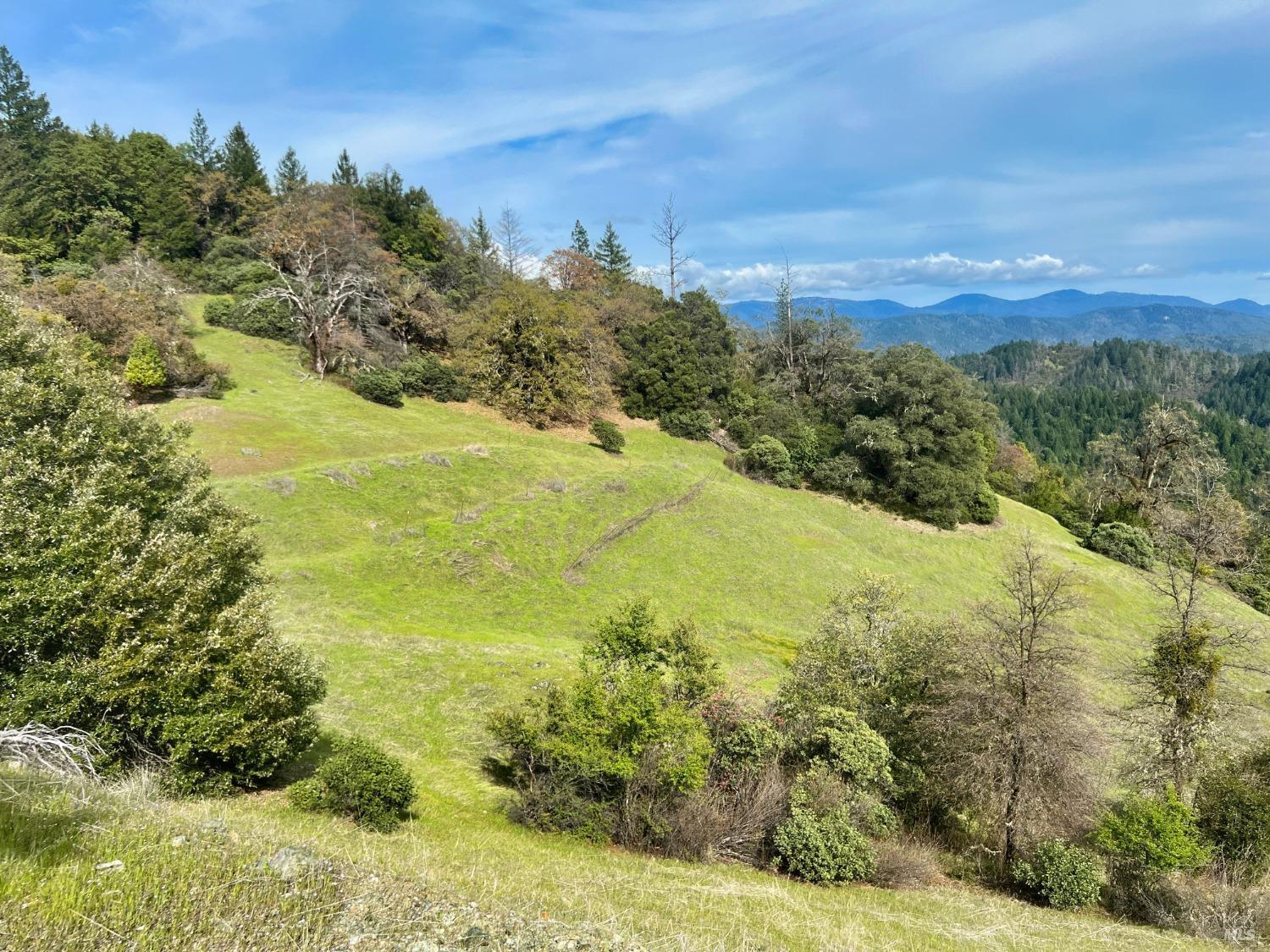 7150 Hearst Willits Road