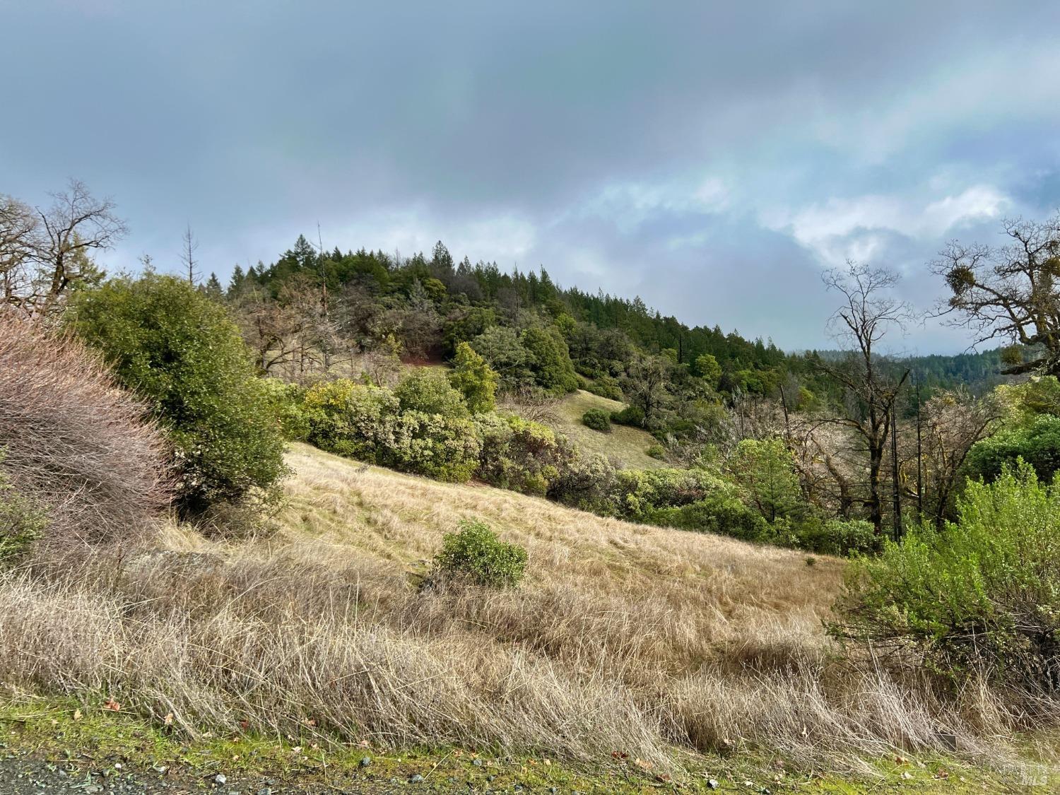 7150 Hearst Willits Road