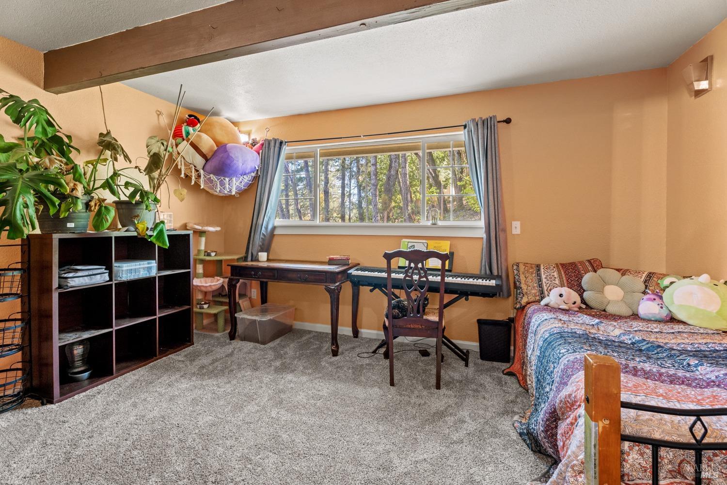 2006 Lupine Drive