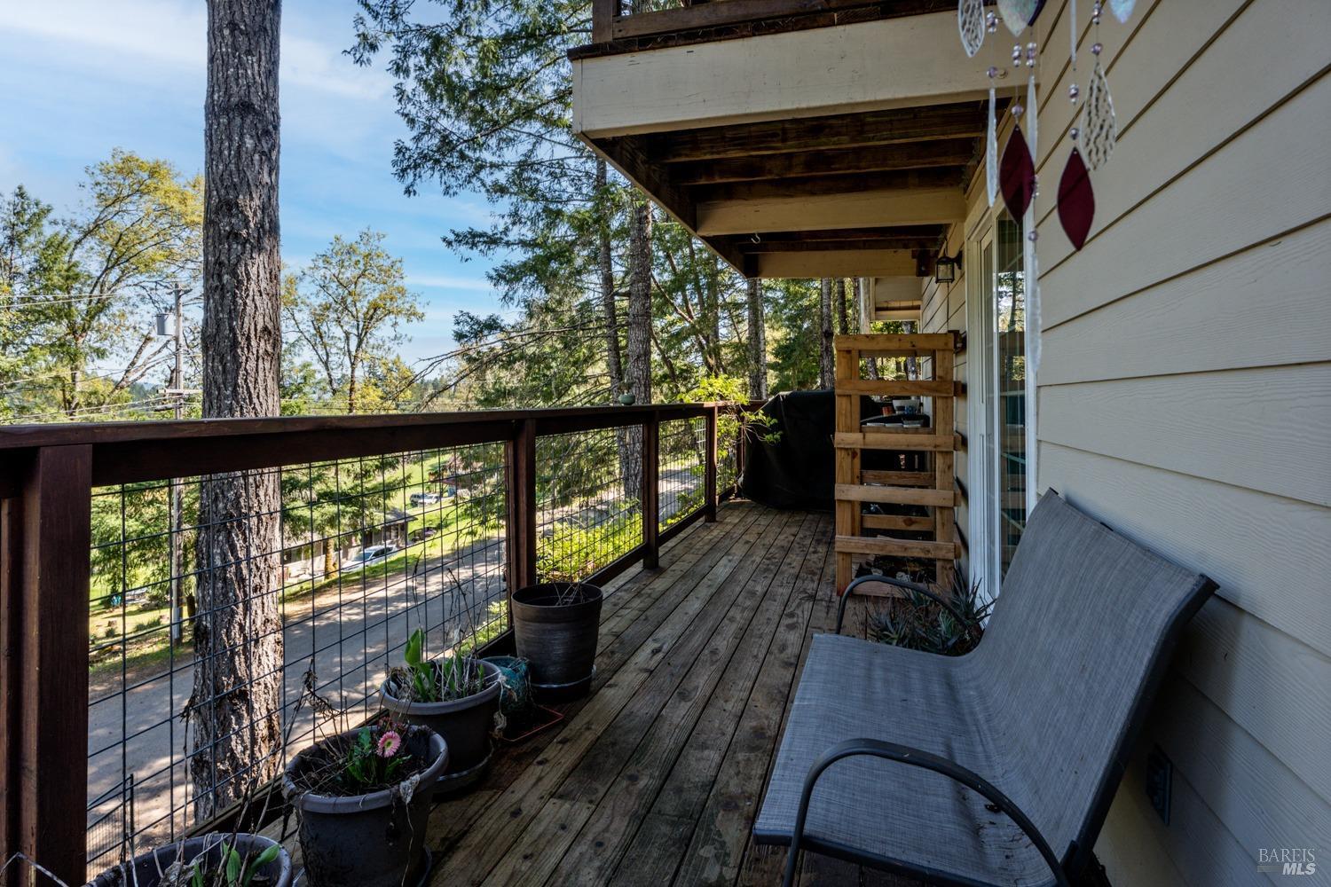 2006 Lupine Drive