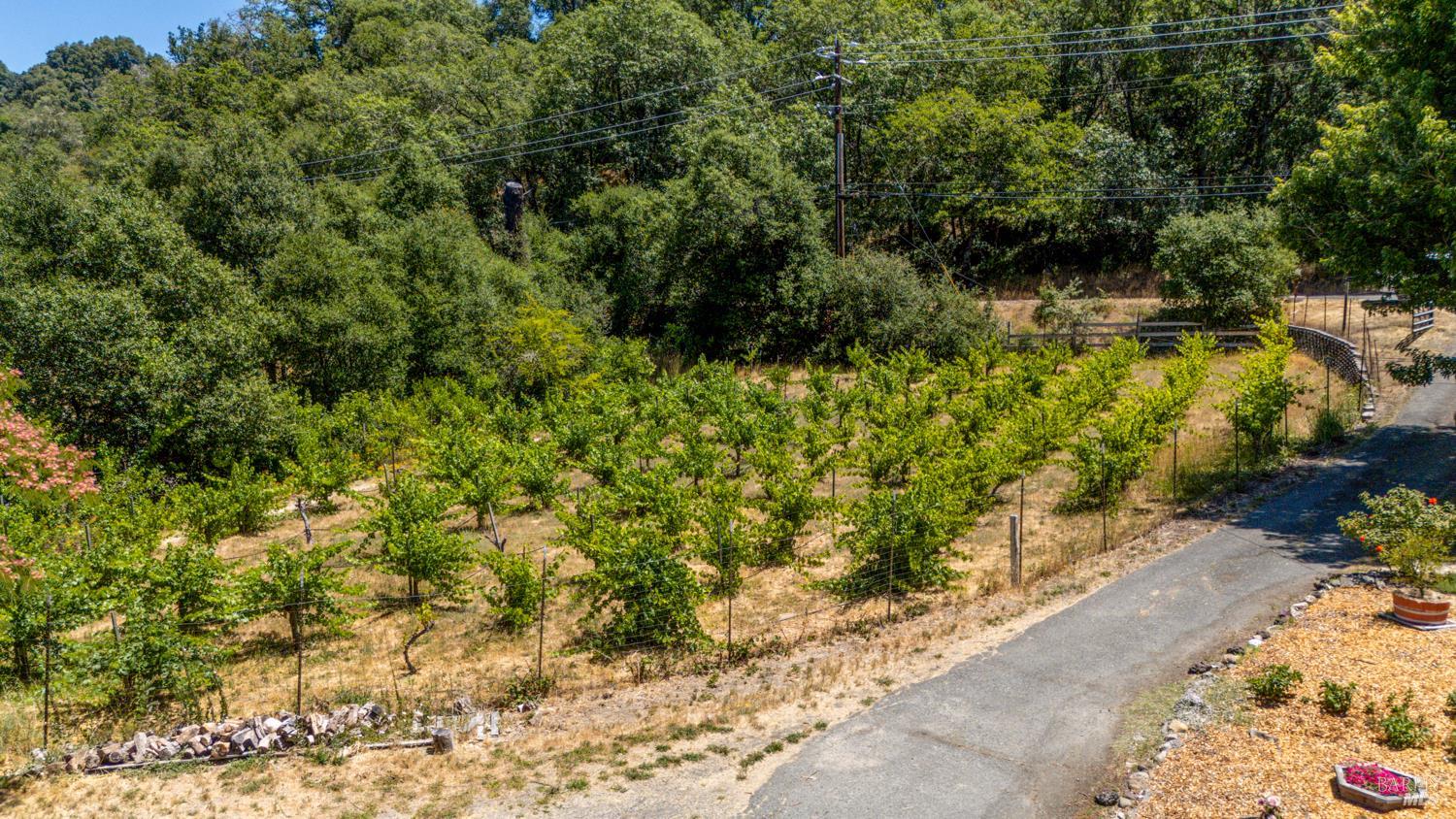 5510 Eastside Calpella Road