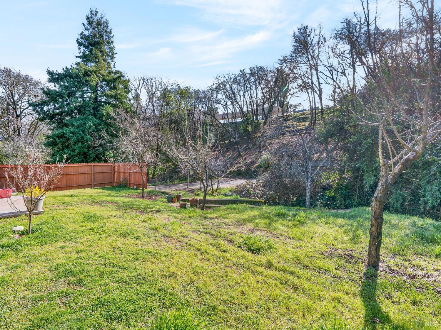605 Redwood Avenue