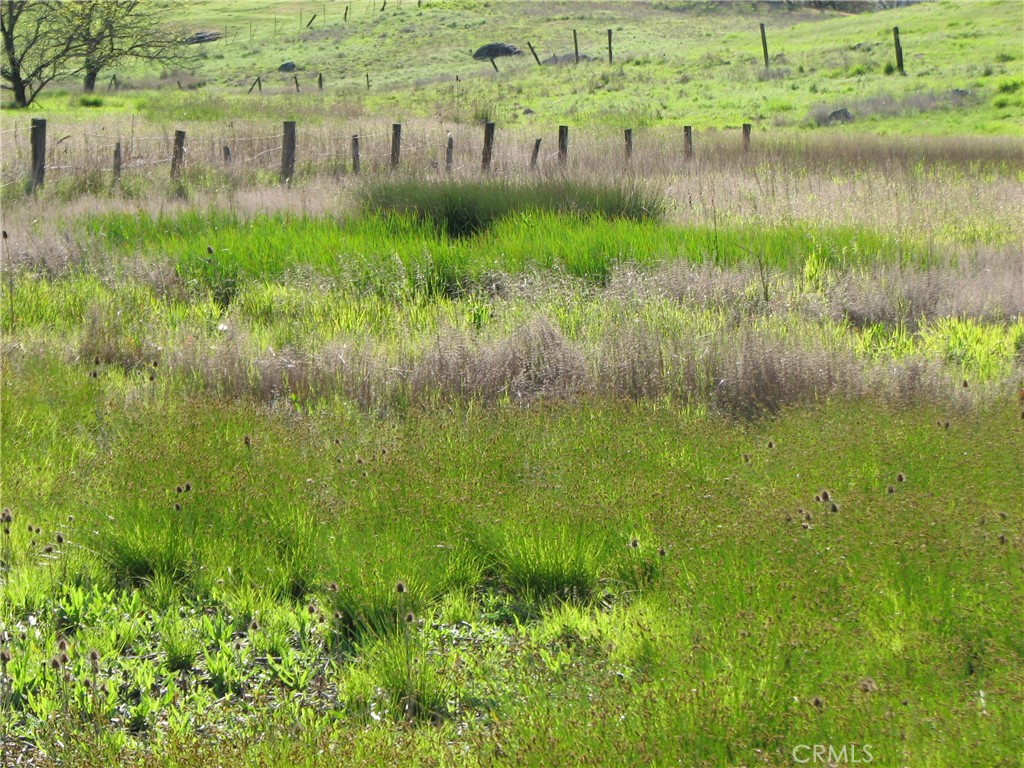 10545 Bachelor Valley Road