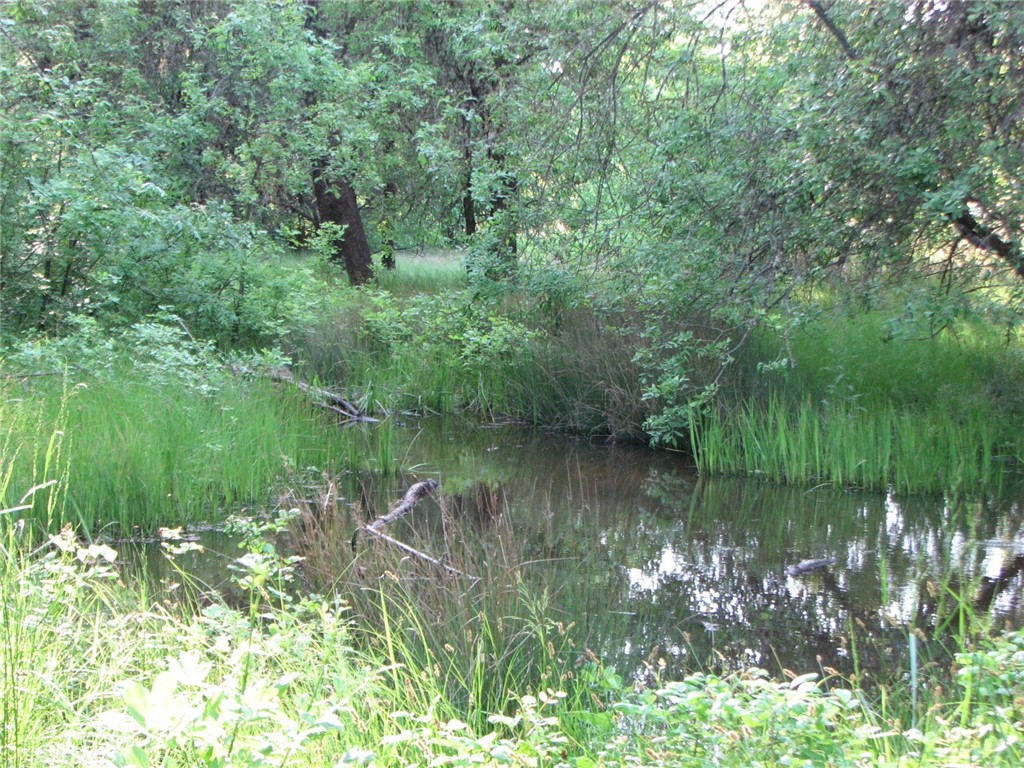 10545 Bachelor Valley Road