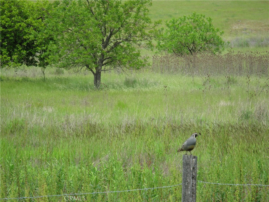 10545 Bachelor Valley Road