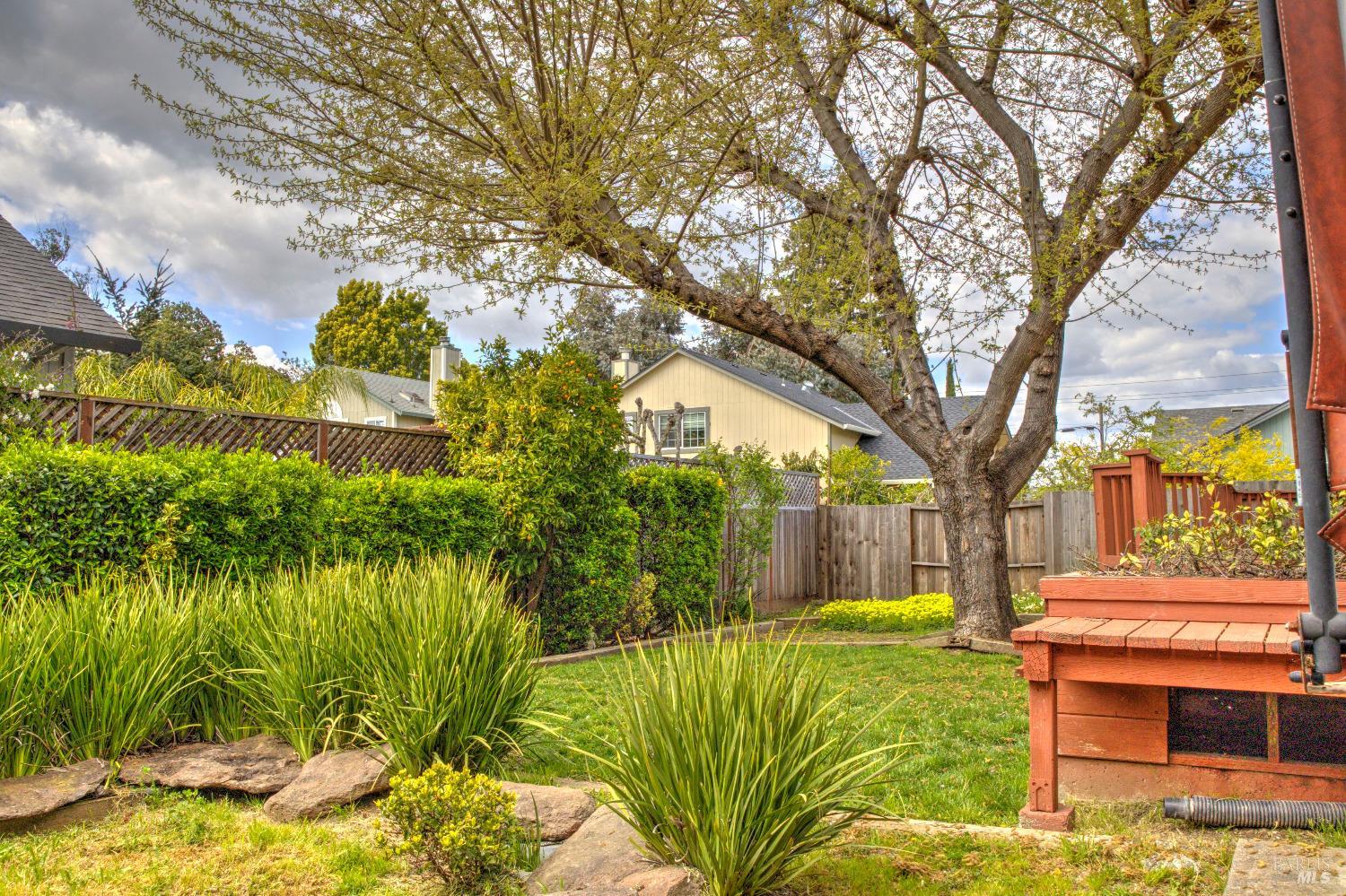 1313 Jennings Park Way