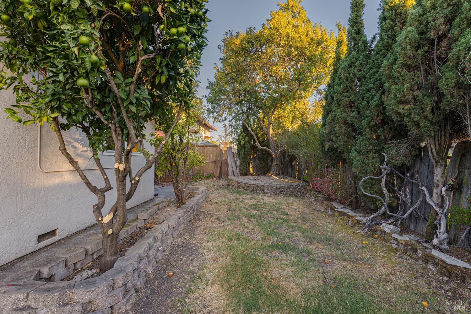 923 Santa Dorotea Cir