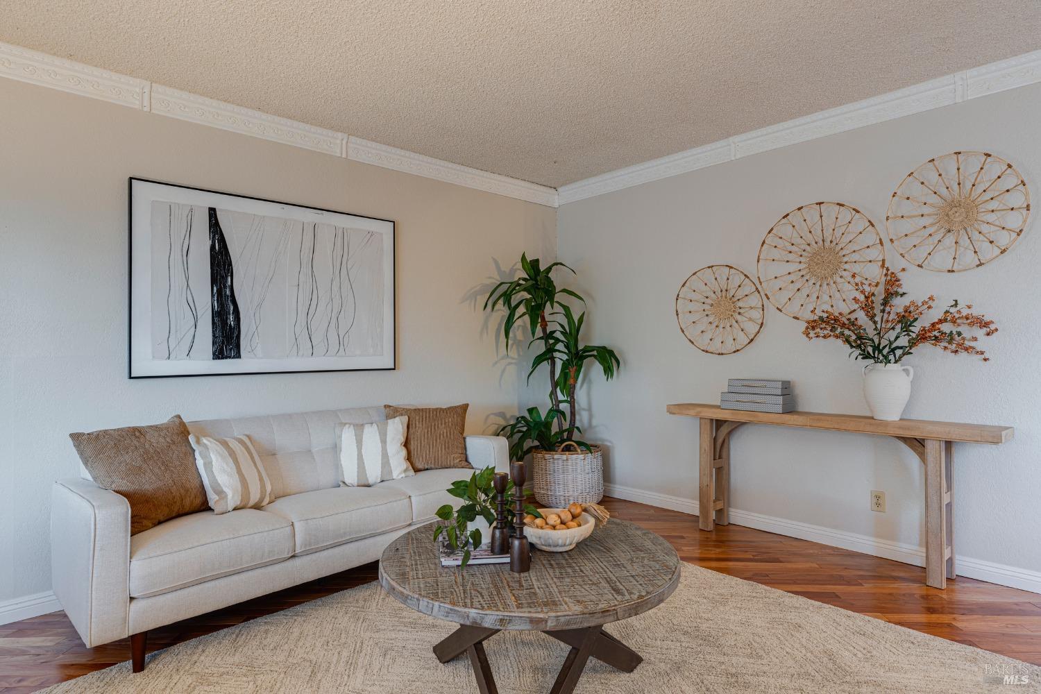 923 Santa Dorotea Cir