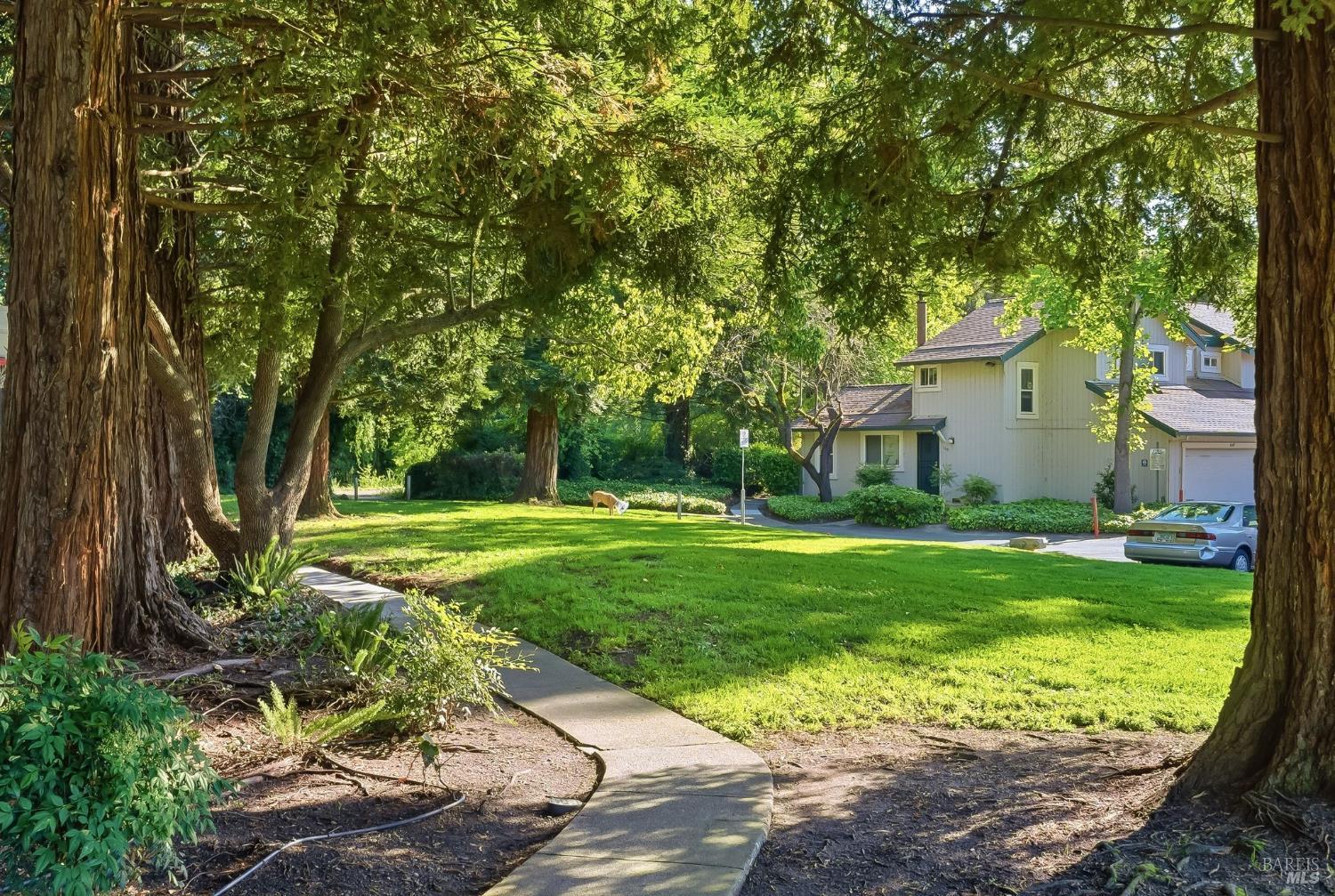 1017 Copeland Creek Drive