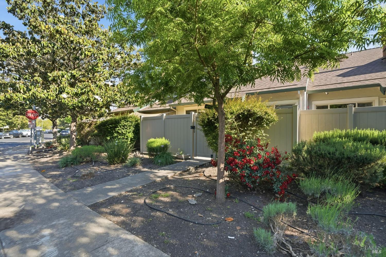 1017 Copeland Creek Drive