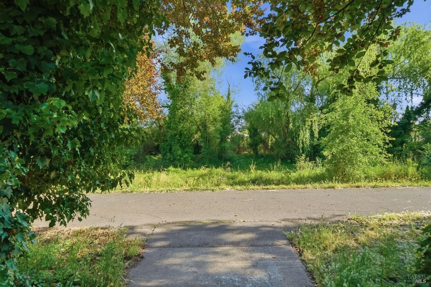 1017 Copeland Creek Drive
