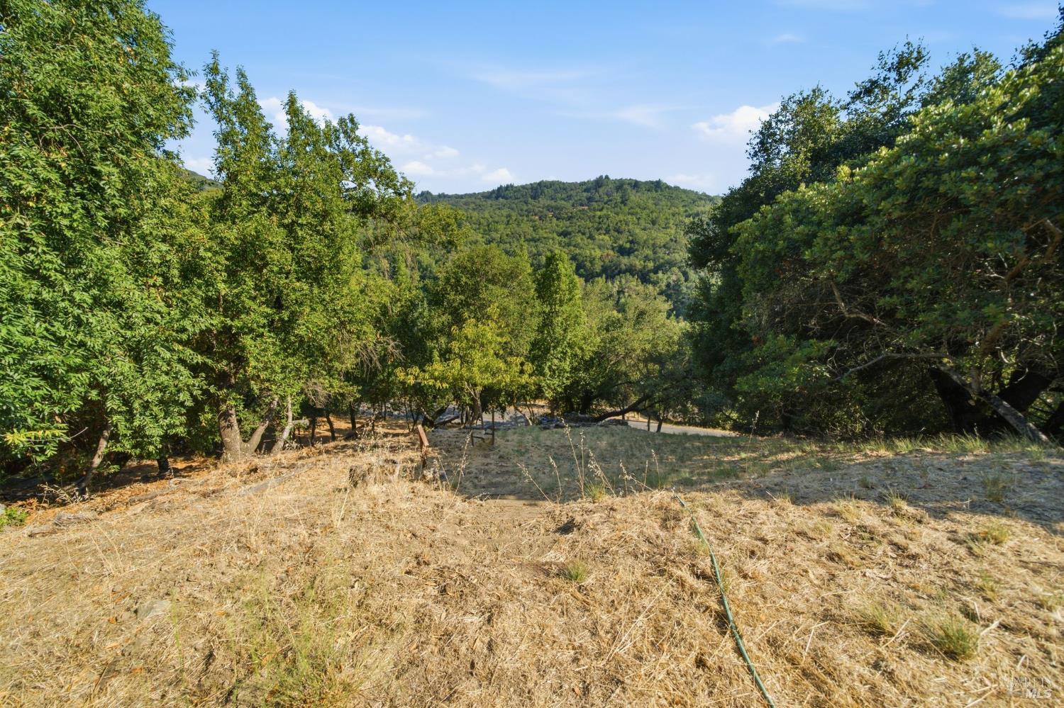 2031 Madrone Avenue