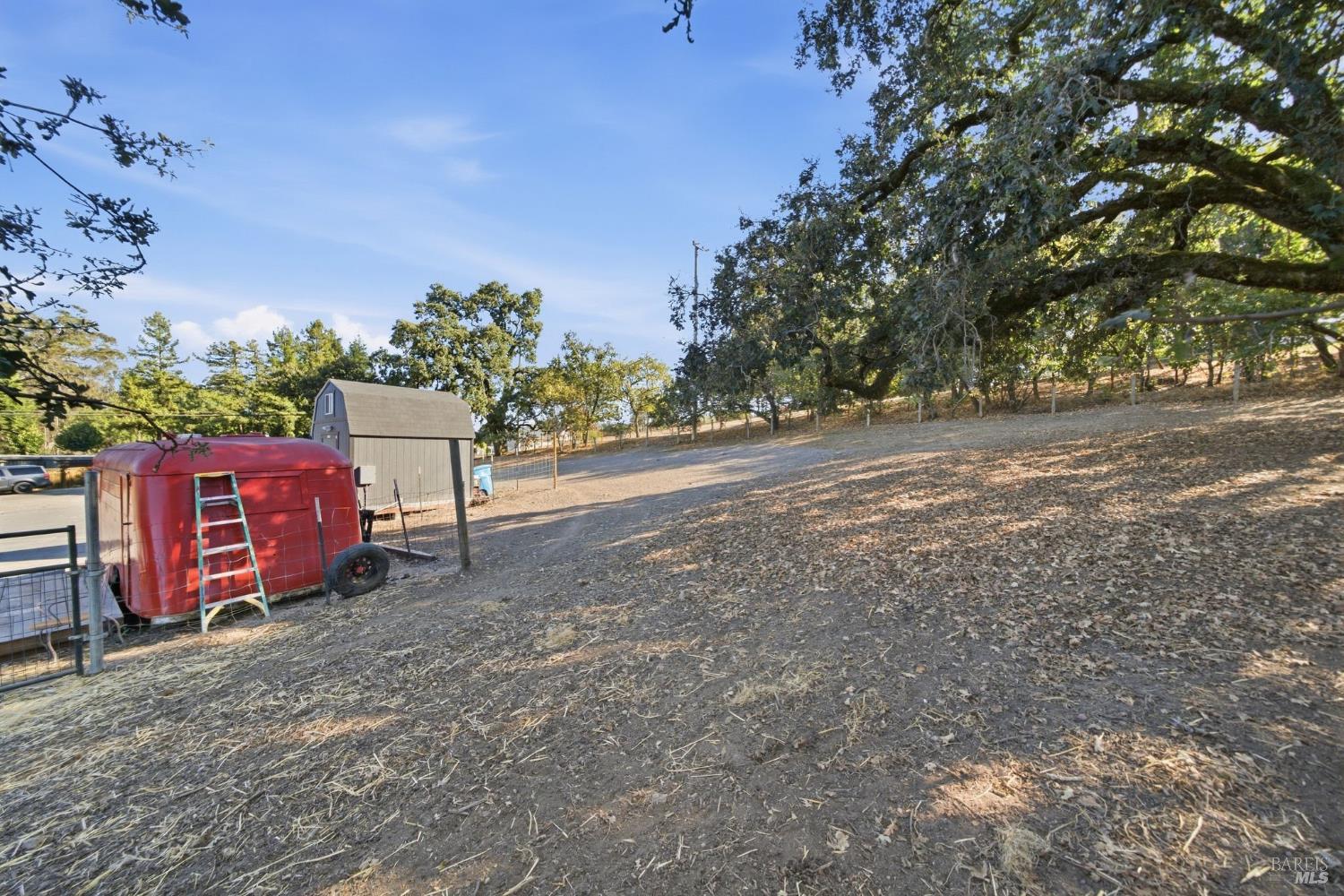 Sloping property with mature trees, a gray shed, and a red utility trailer.