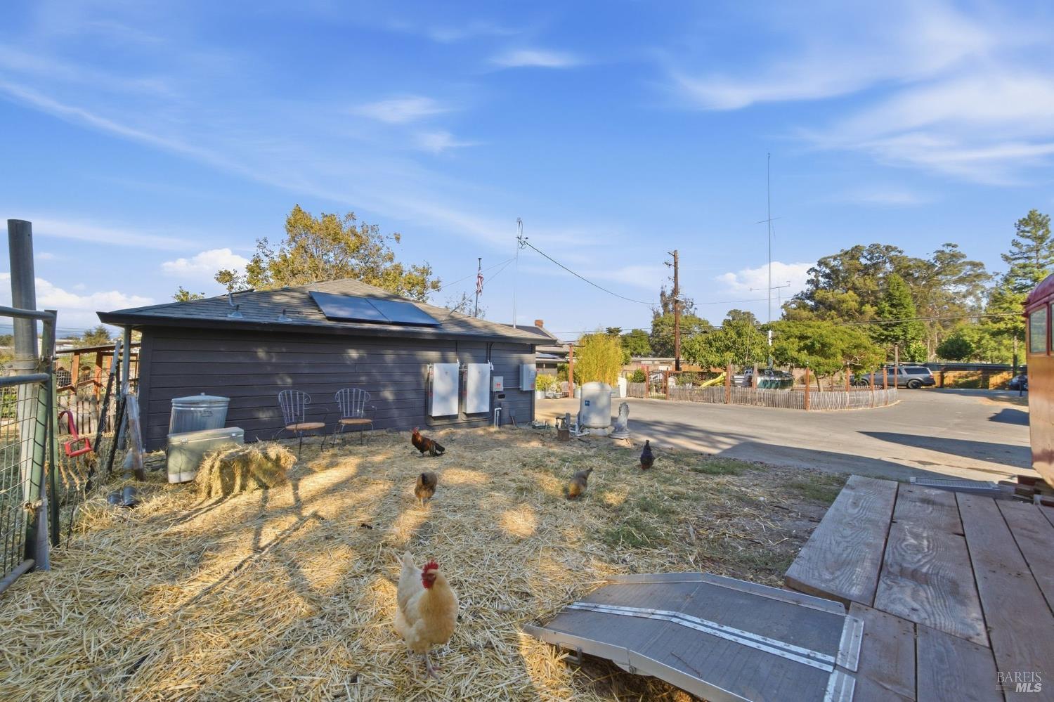 Property yard with chickens beside a solar-paneled outbuilding.