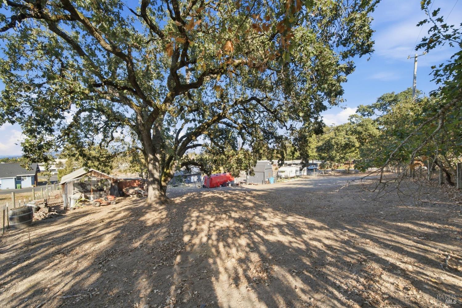 Large oak tree shading a broad dirt yard, with small outbuildings in the background.