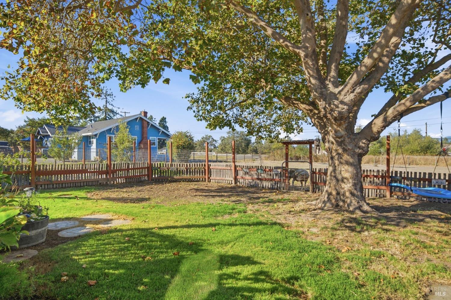 Backyard with a large shade tree, green lawn, fenced play area, and blue house beyond.
