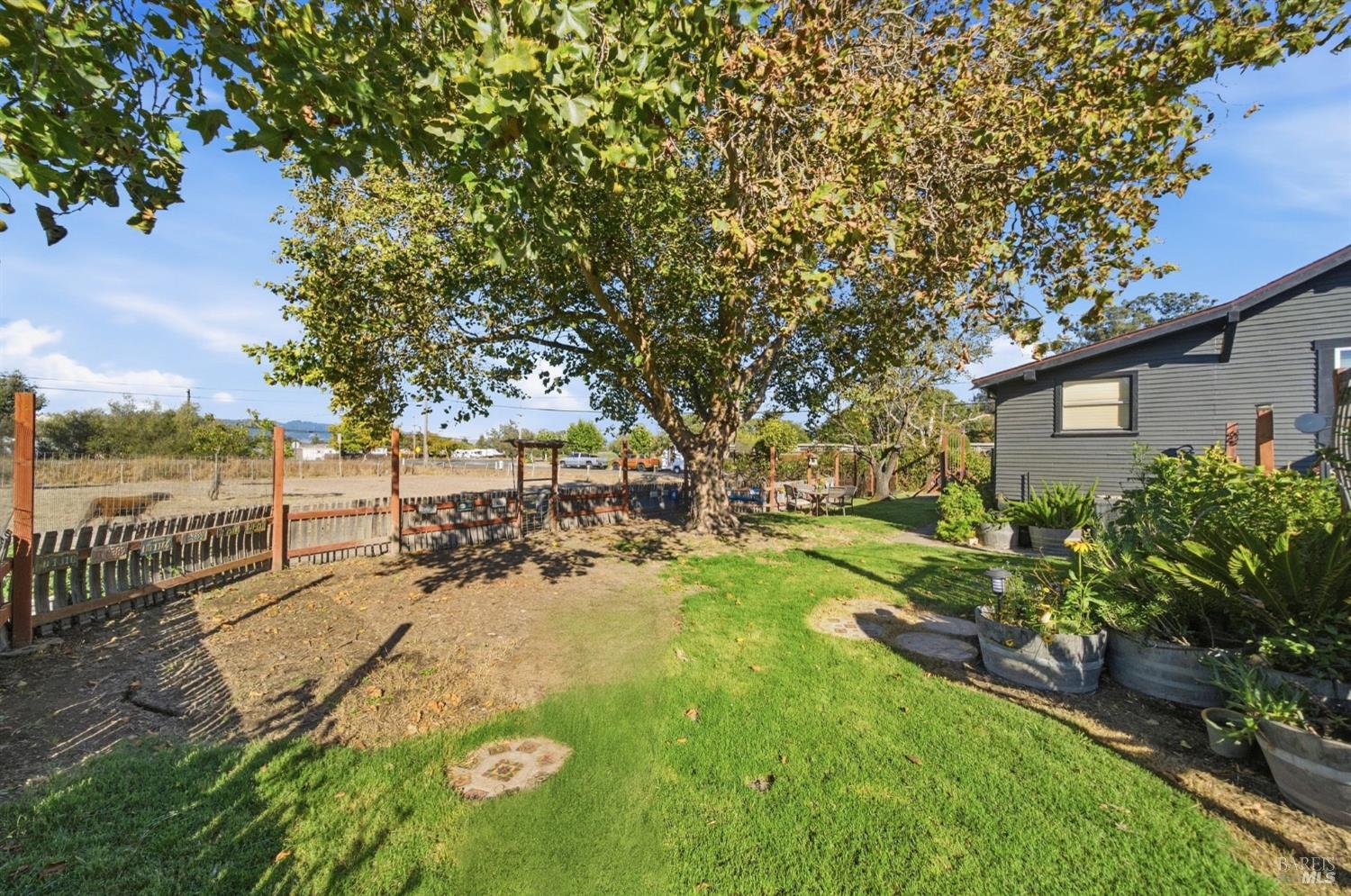 Backyard with a broad lawn, mature shade tree, wooden fence, and raised planters beside the house.