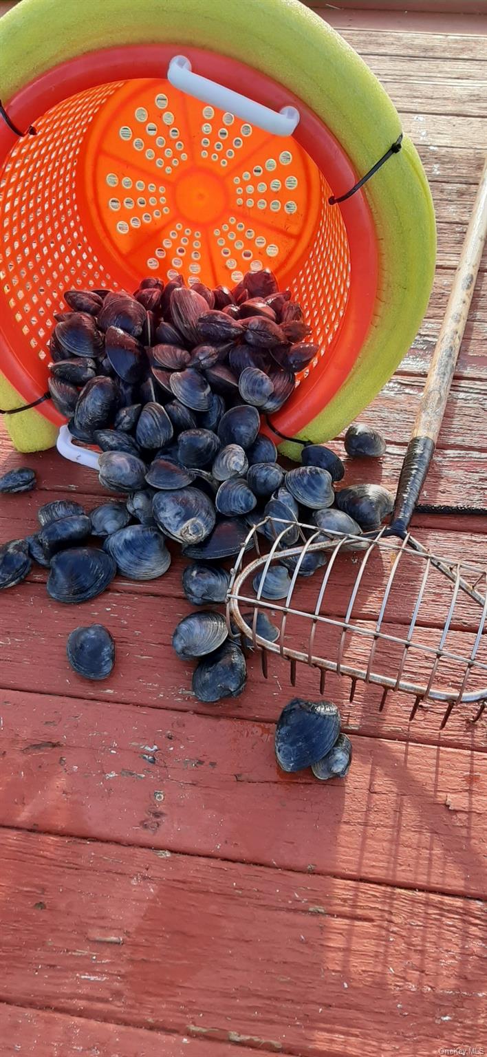 19 Cold Spring Court