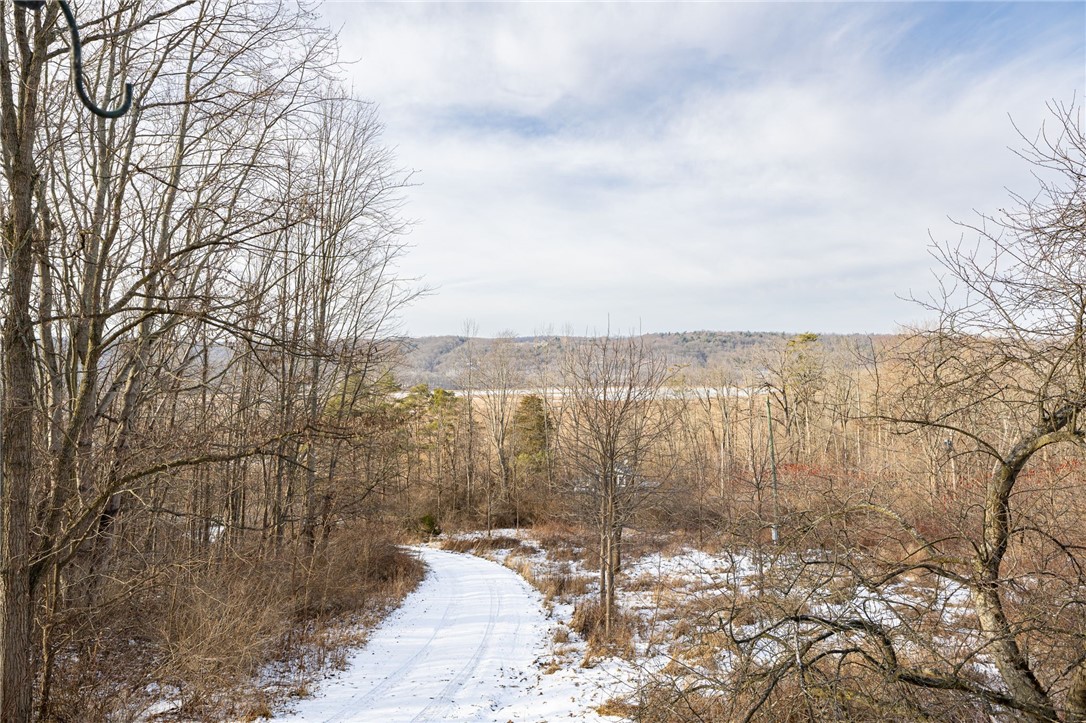 6365 East Swamp Road