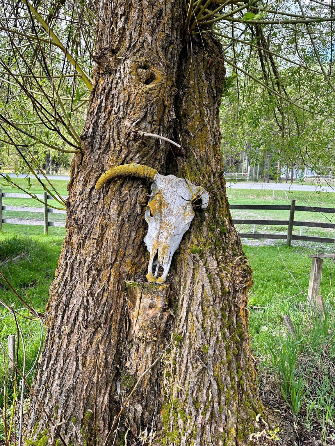 11687 Pinkham Creek Road