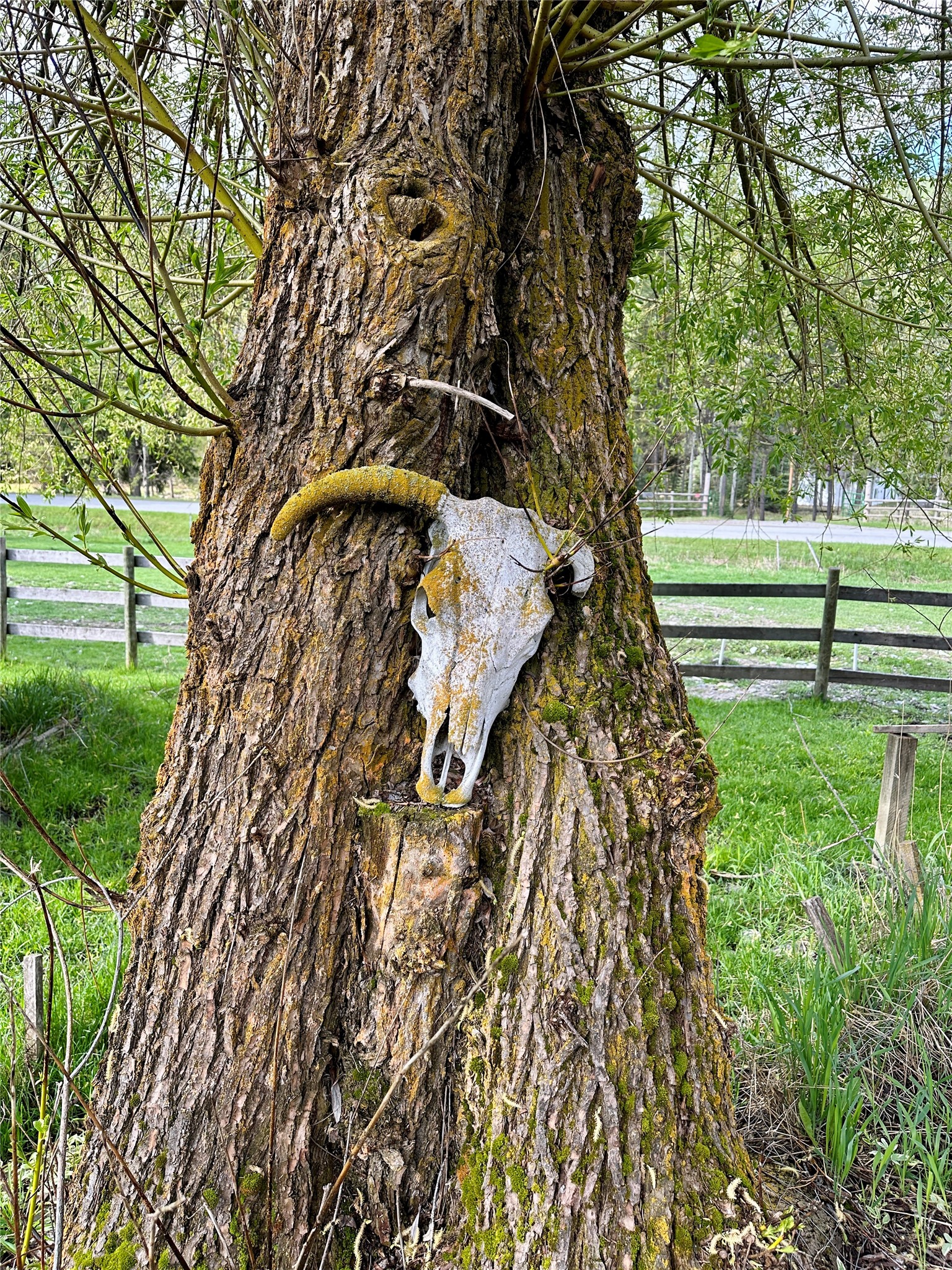 11687 Pinkham Creek Road