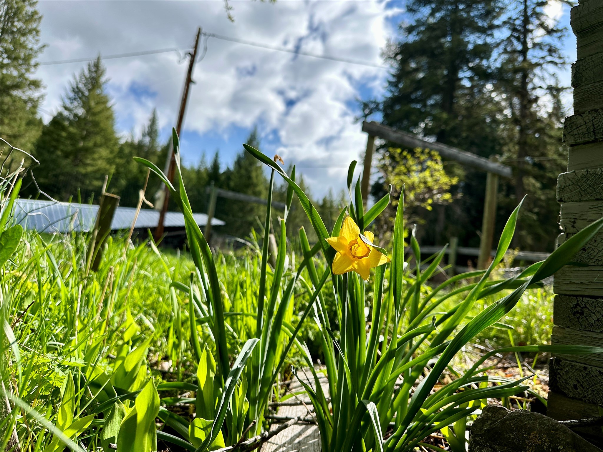 11687 Pinkham Creek Road