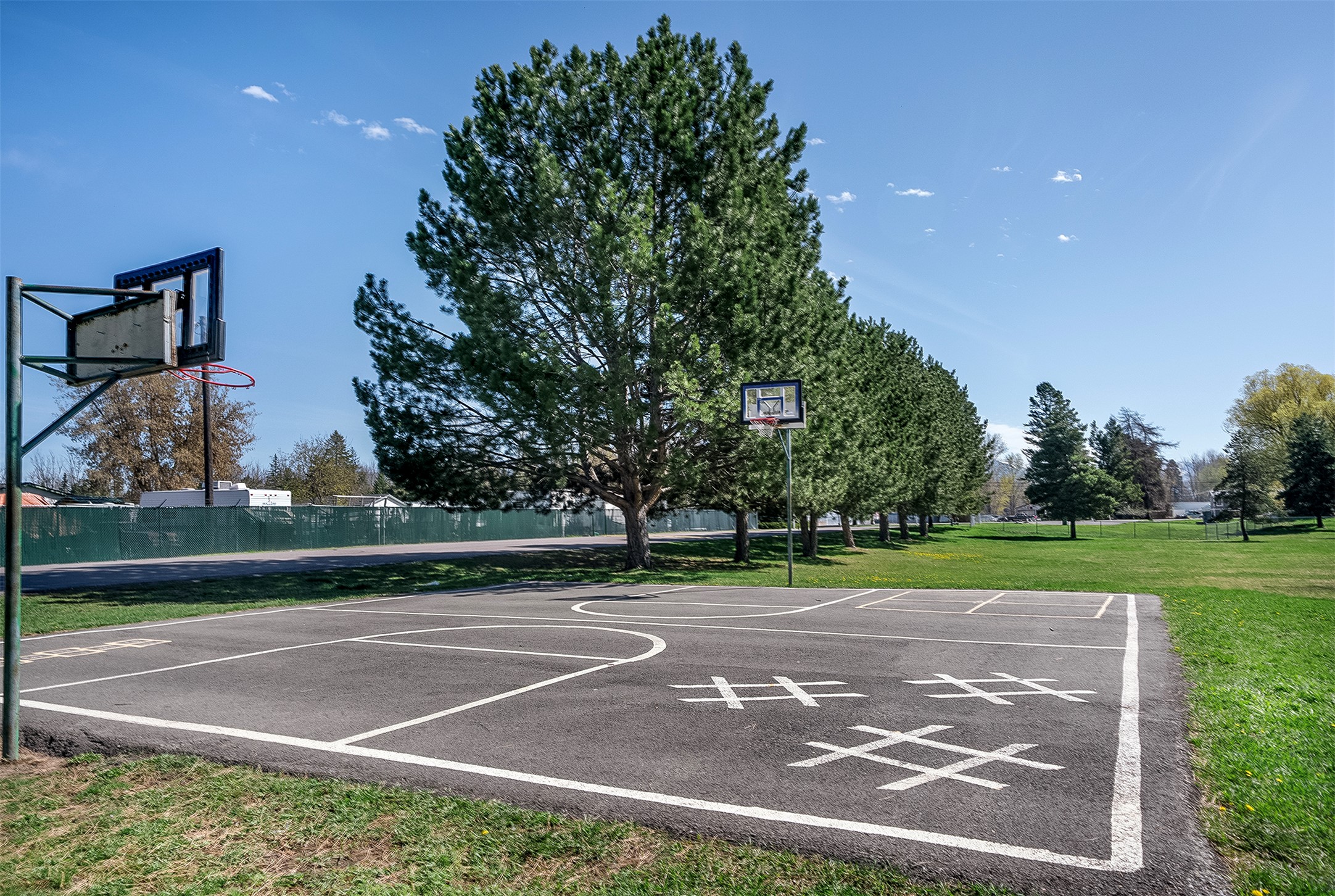 150 Shady Lane 412
